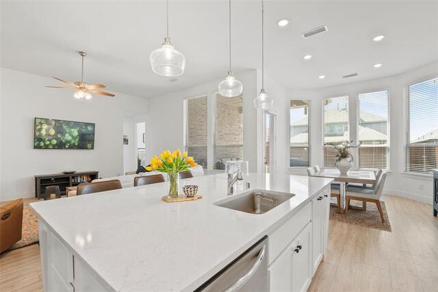 10104 Bitterroot Drive, Little Elm, TX photo 13