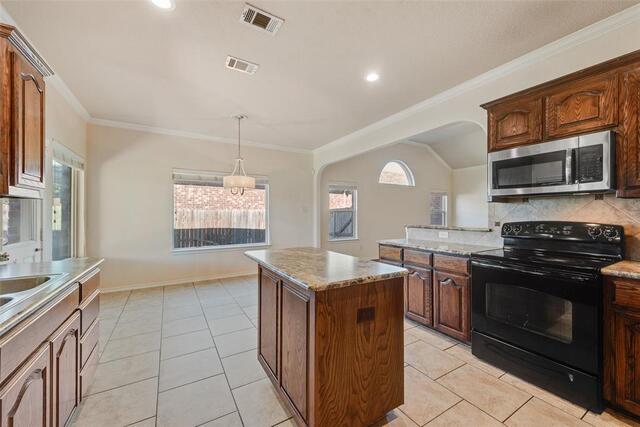 3101 Buckthorn, Lane Denton, TX photo 9