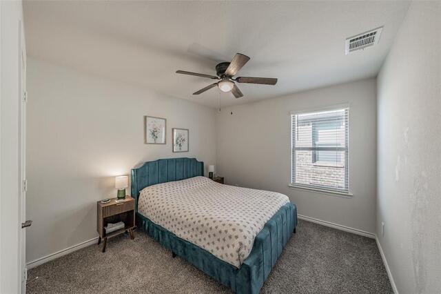 317 Willowmore Drive, Little Elm, TX photo 25