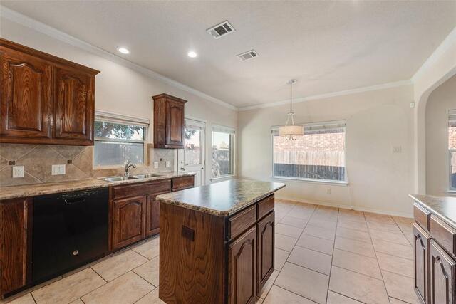 3101 Buckthorn, Lane Denton, TX photo 10