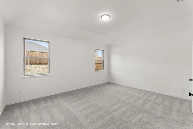 3301 Big Stump, Court Celina, TX photo 10