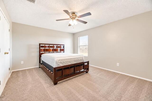 2517 Brinlee Branch, Lane McKinney, TX photo 25