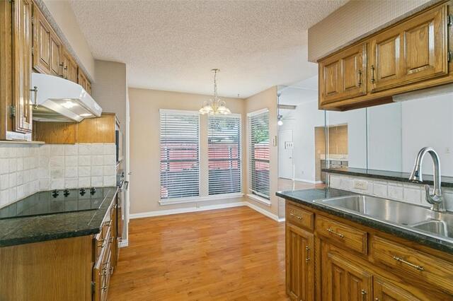 1927 E Branch Hollow, Drive Carrollton, TX photo 6