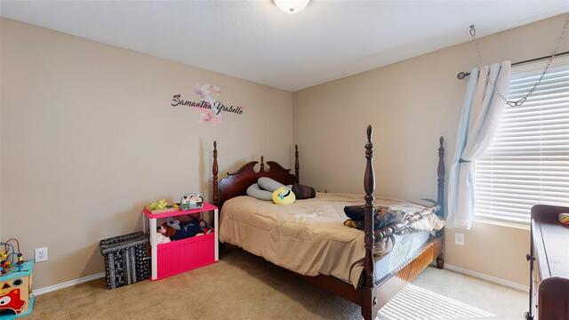 2501 Ash Drive, Little Elm, TX photo 23