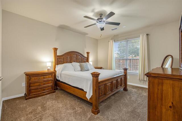 3014 Aurora Mist Drive, Little Elm, TX photo 8
