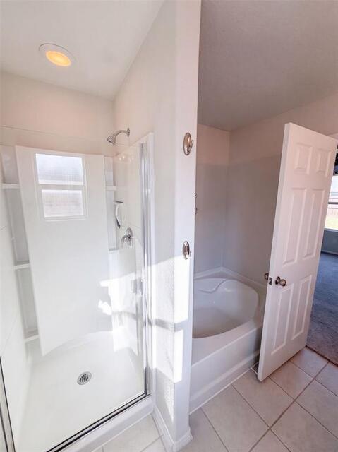 3029 Adrian Creek Drive, Little Elm, TX photo 12