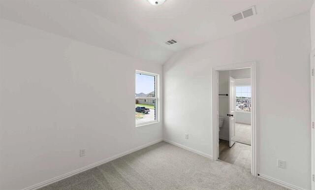 3305 Big Stump, Court Celina, TX photo 20
