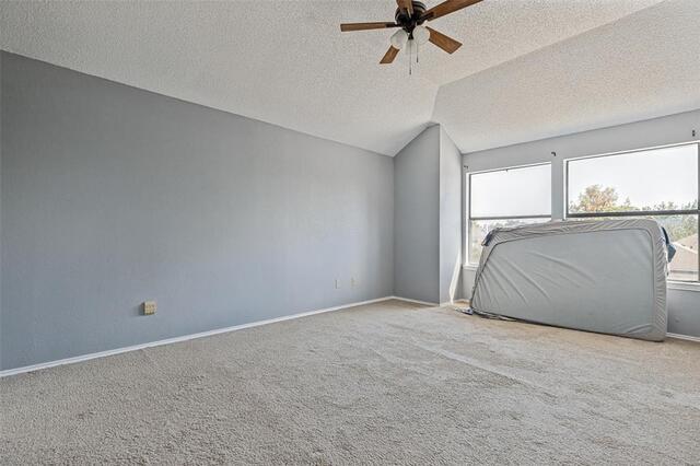 2315 Cuesta, Lane McKinney, TX photo 13