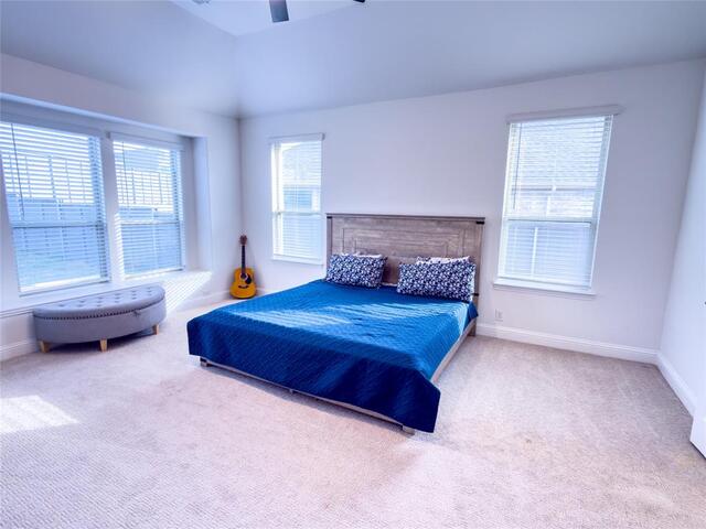 7212 Bird Cherry Lane, Little Elm, TX photo 15