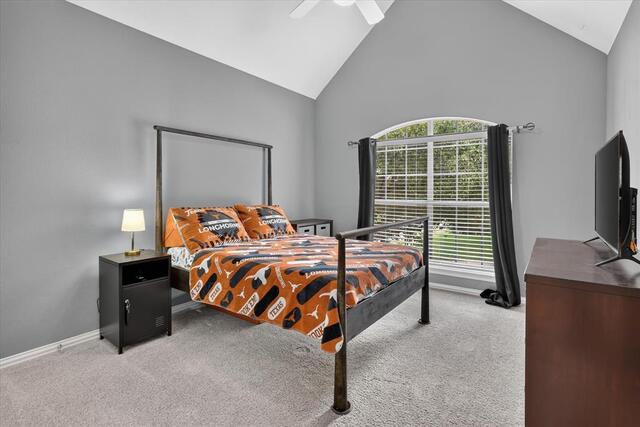 901 Brittany, Drive Lewisville, TX photo 27
