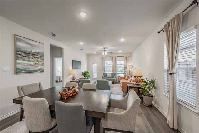 317 Willowmore Drive, Little Elm, TX photo 10