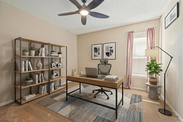 7458 Daffodil, Way Frisco, TX photo 15