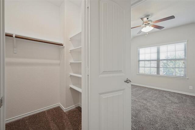 10045 Eagle Pass, Place McKinney, TX photo 26