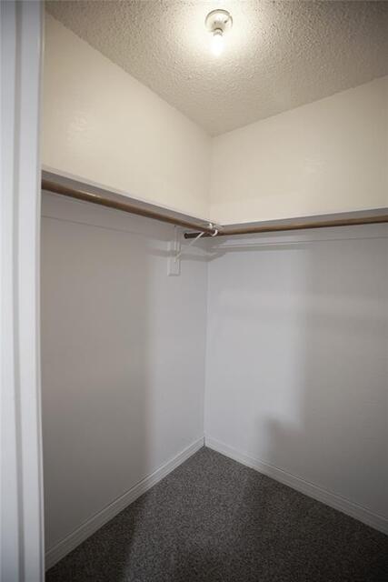 3007 Pacifica, Street Carrollton, TX photo 13