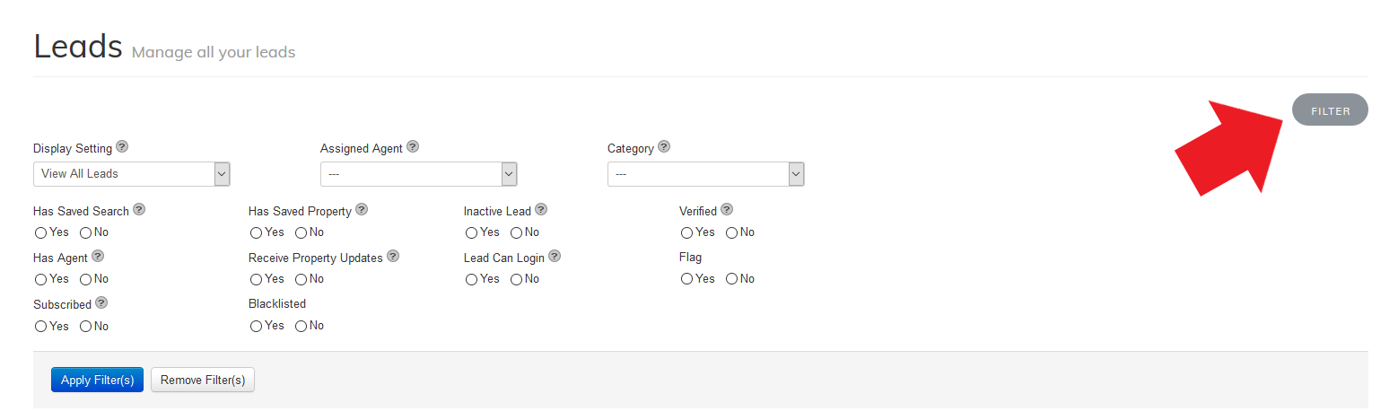 Leads Filters