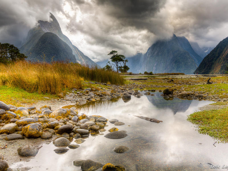 New Zealand