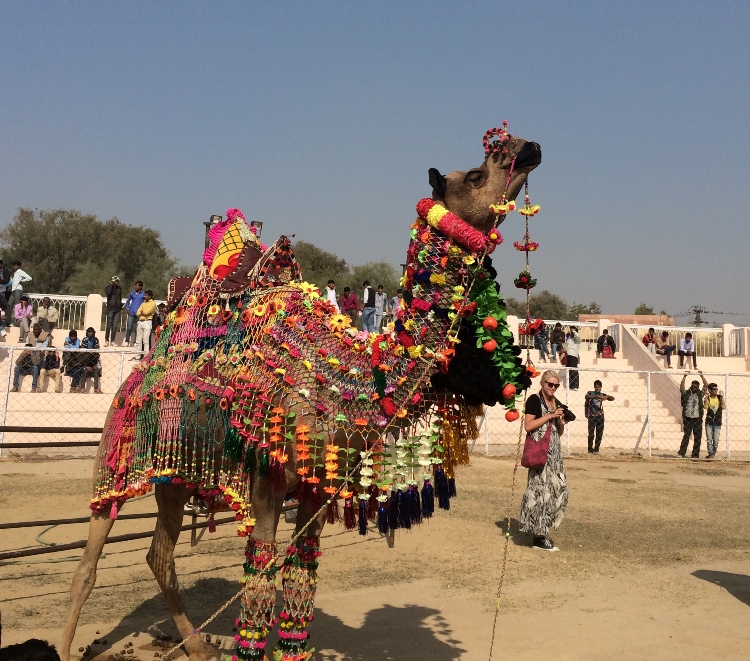 Fun and Games at the Bikaner Camel Fair