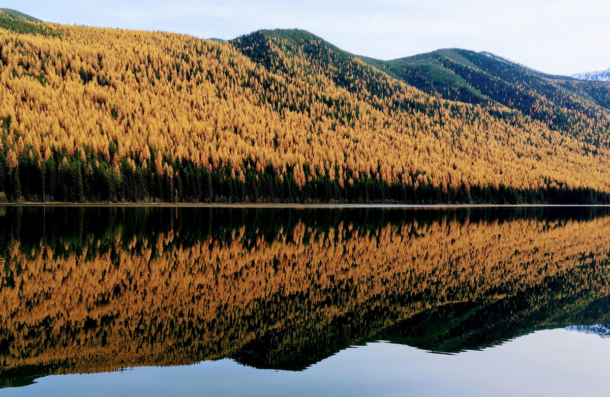 6 Ways to Explore the Beauty of Whitefish This Fall