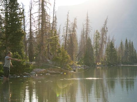 Pexels alexmoliski 27612124 3