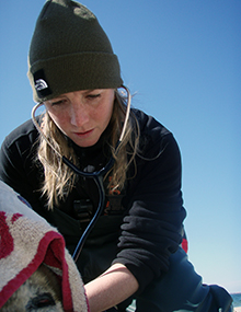 Jane M. Hoppe, Assistant Stranding Coordinator, Marine Mammal Rescue and Research Jane M. Hoppe, Assistant Stranding Coordinator, Marine Mammal Rescue and Researc