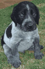 Adorable_one_dsc03086_1 Adorable_one_dsc03086_1