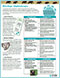 Programme éducatif Fascinants éléphants