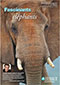 Programme éducatif Fascinants éléphants