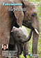 Programme éducatif Fascinants éléphants