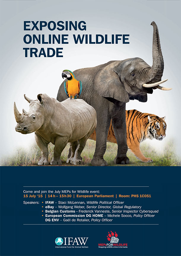 wildlife major