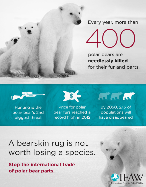 International Polar Bear Forum Range countries must commit to a