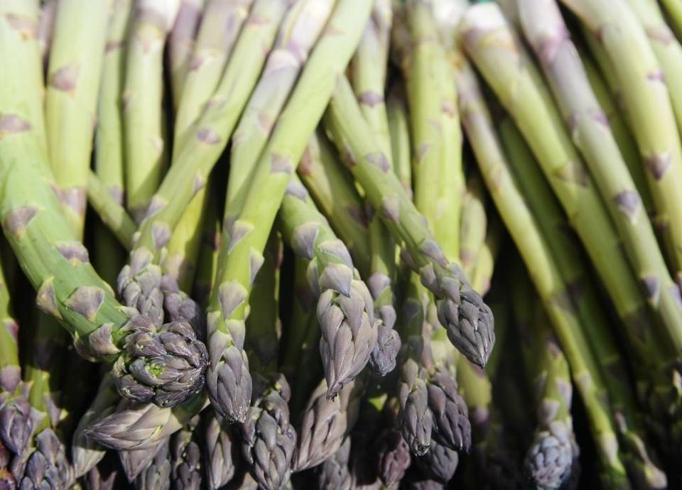Pasco, WA Asparagus celebration coming to close at Food Truck Friday