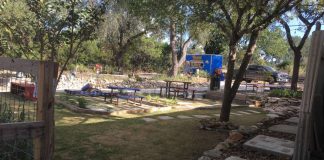 San Antonio, TX: New San Antonio food truck park The Divide on Babcock Road is child- and dog-friendly