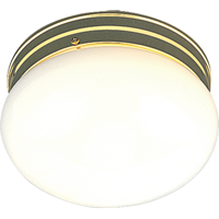 Royal Cove LuminaÖ Ceiling Fixture