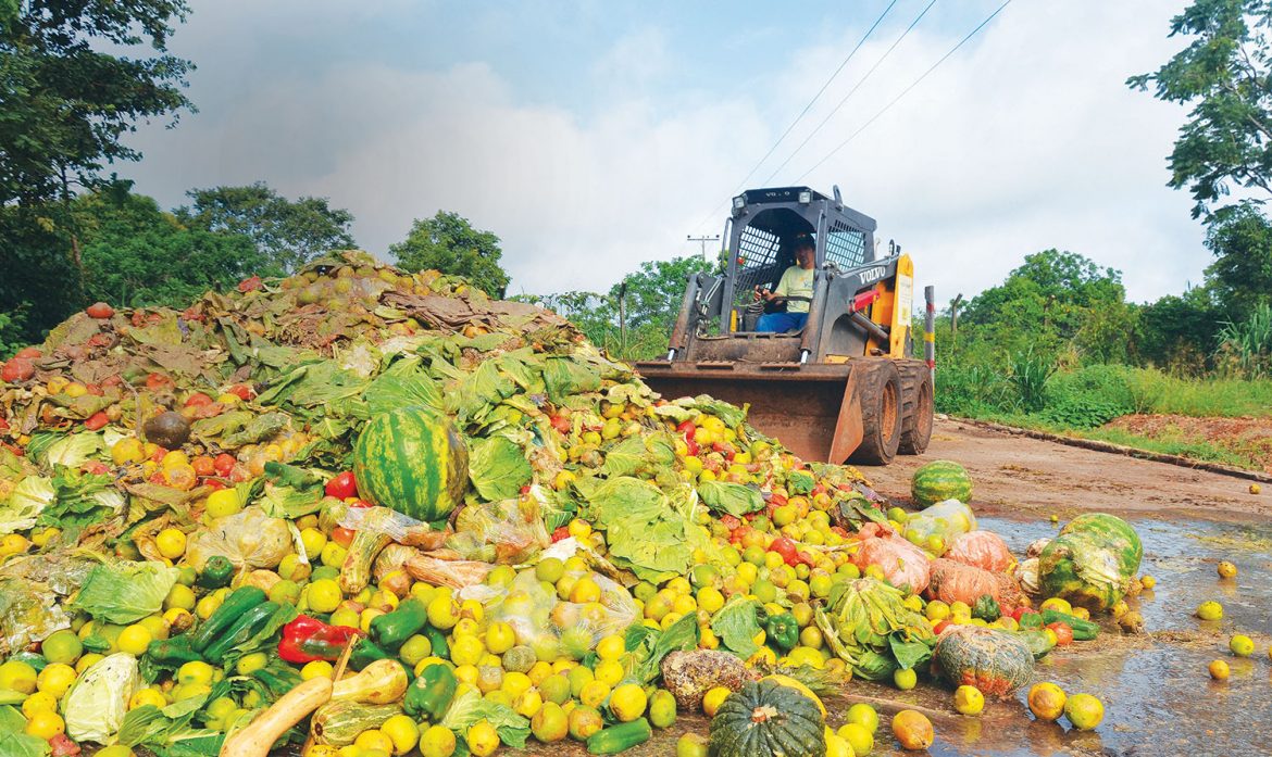 Desperdício de Alimentos - iGUi Ecologia