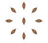 Ribg-seed-mandala-icon