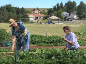 Garden Weeding at Highlands United Presbyterian Church in Cheyenne, Wyoming.