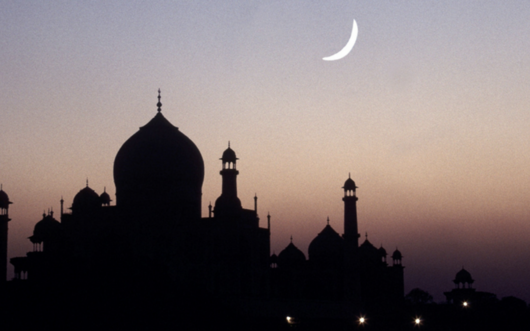 Muslims 101: A Brief Introduction to Islamic Theology and Muslim Practice