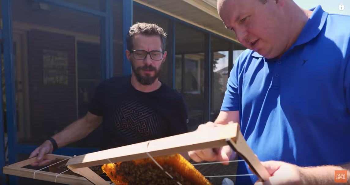 How to Make a Langstroth Beehive