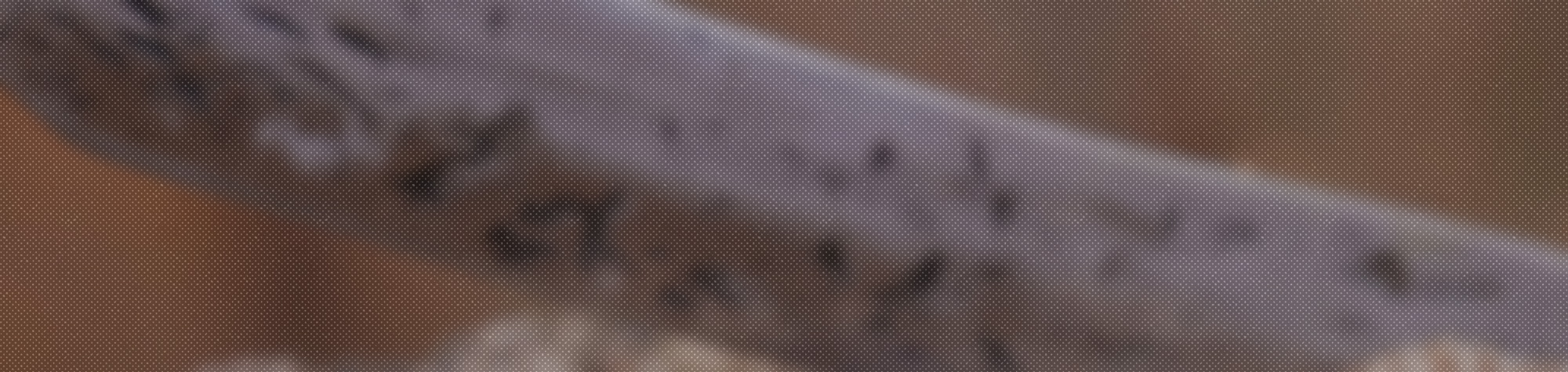 Making a Forged Machete