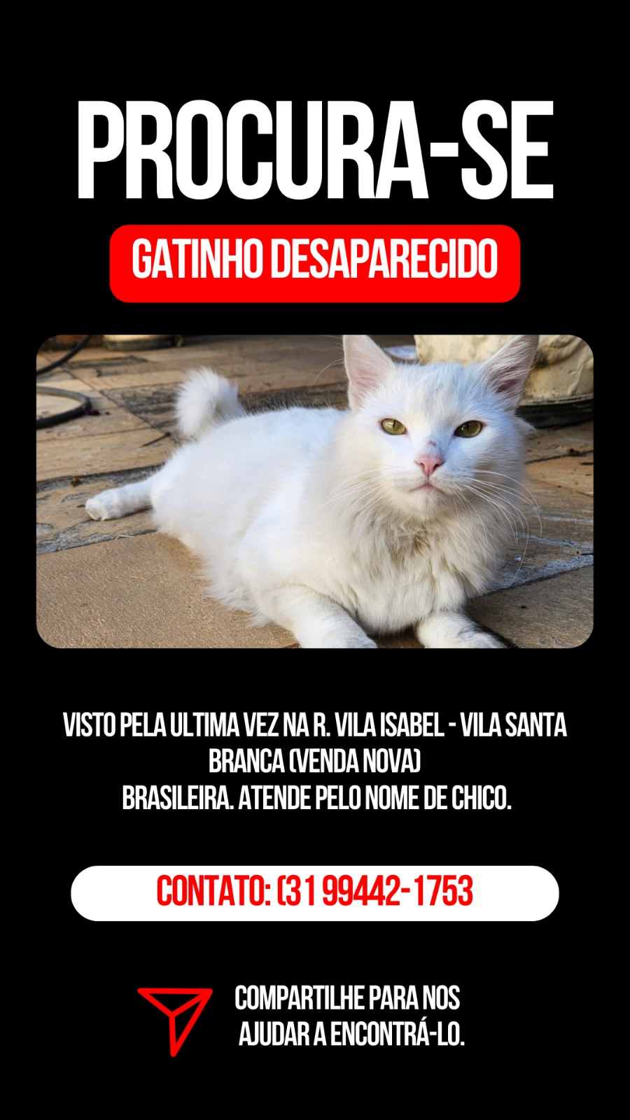 imagem 0