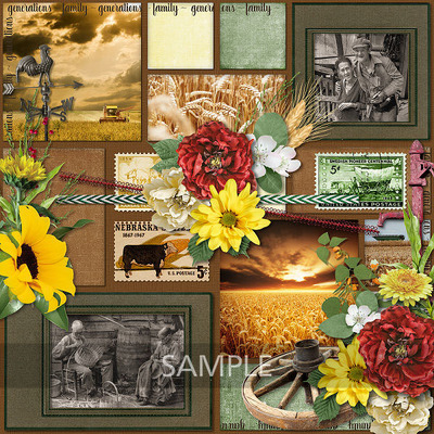 600-adbdesigns-prairie-home-lana-01