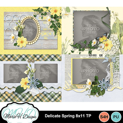 Delicate_spring_8x11_tp_01