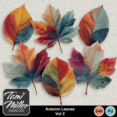 Designer - Tami Miller Designs | MyMemories