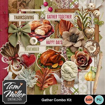 Designer - Tami Miller Designs | MyMemories