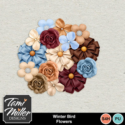 メモリまとめ売り　タミ　Tami Designer - Tami Miller Designs | MyMemories