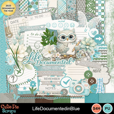 Lifedocumentedinblue1