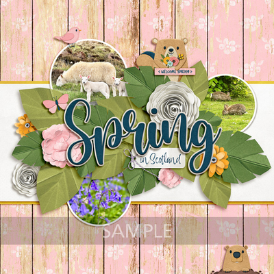 Spring Animals Sign Digital Scrapbooking Kits | Signs of Spring-bundle-(MSG) | Animals ...