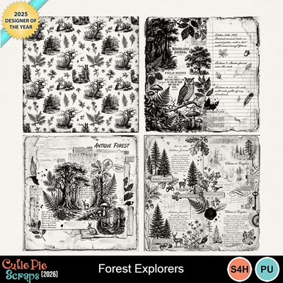 Forest_explorers14