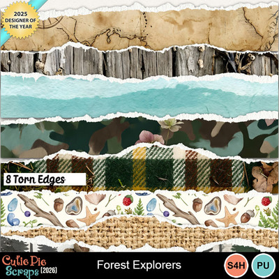 Forest_explorers12