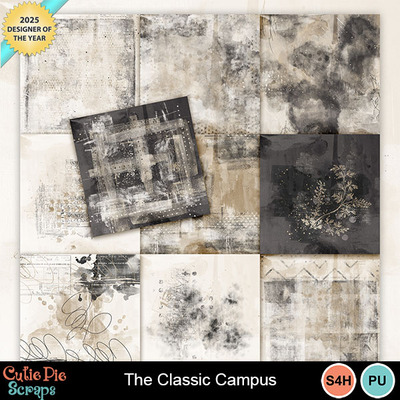 The_classic_campus9